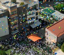 AVENOR College